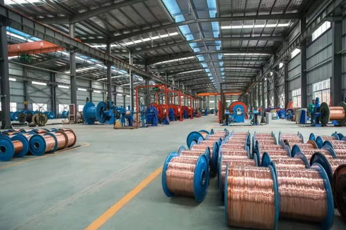 老厂迎蝶变 借力数字化再攀高峰